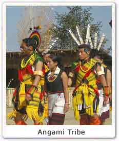 angami-tribe