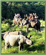 Elephant Safari,  Royal Chitwan National Park