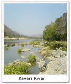 Kaveri River 