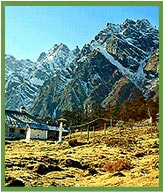 Yumthang Valley Sikkim
